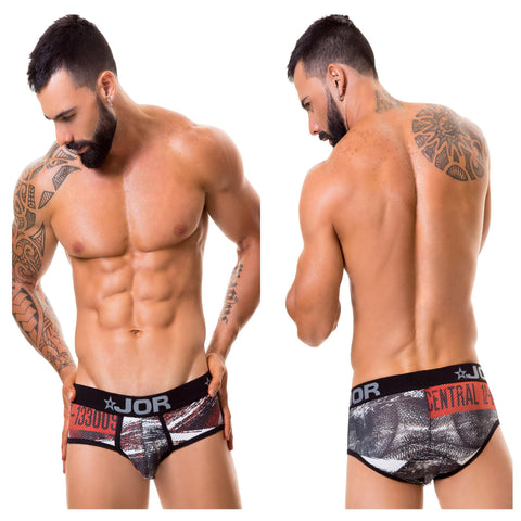 0335 Revolution Briefs