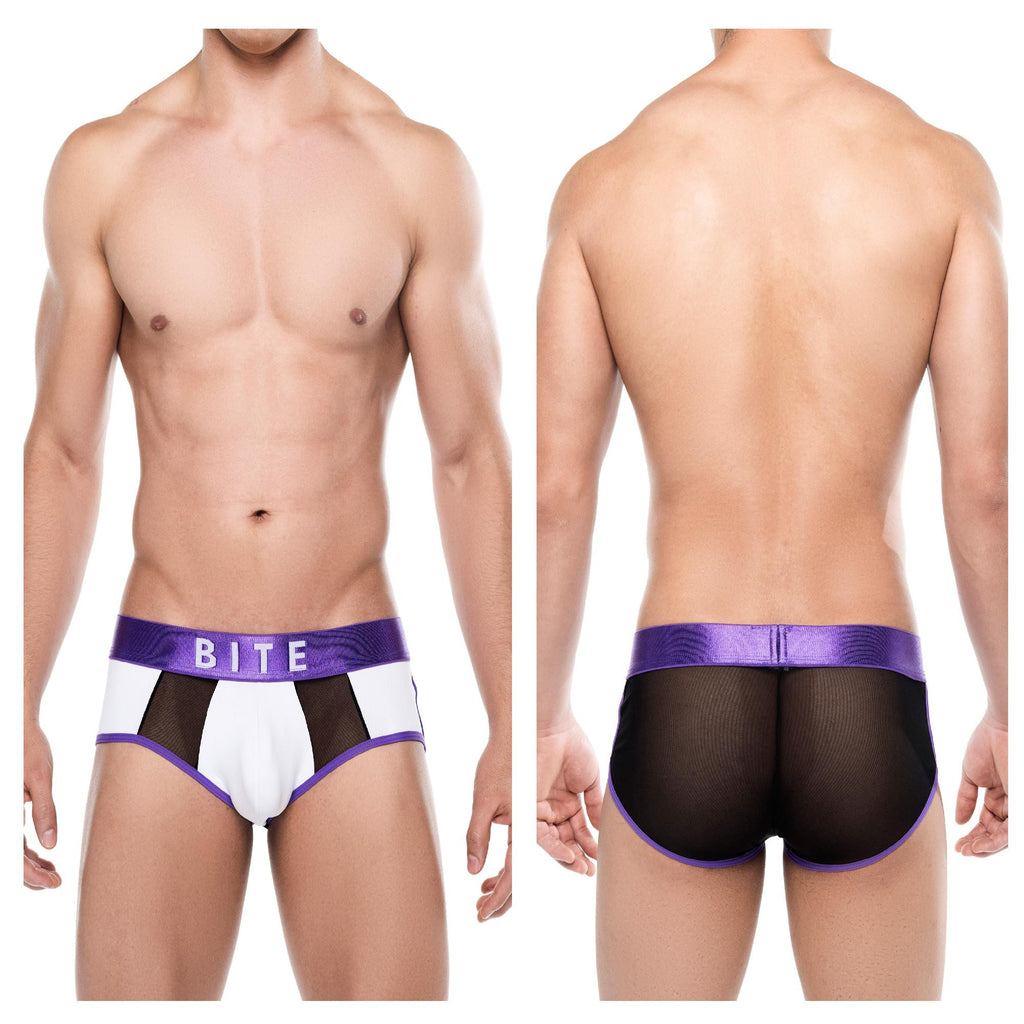 BW16103 Briefs